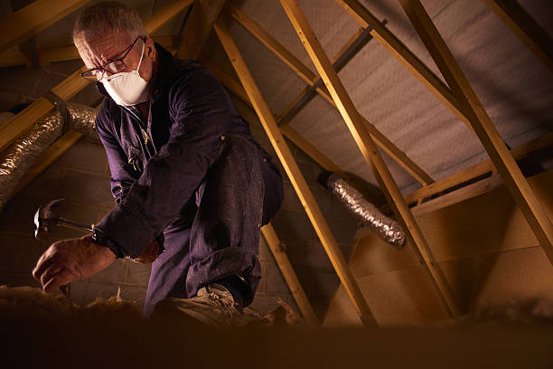 Best Geographic-Specific Insulation Services in Rangely, CO