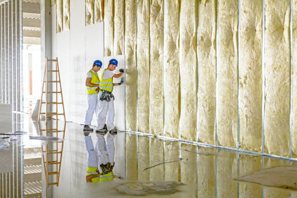 Best Residential Insulation in Rangely, CO